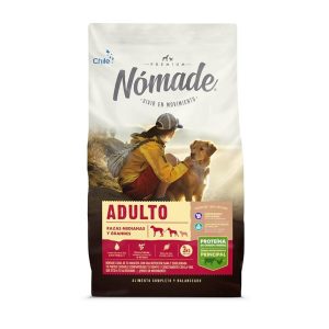 Nómade