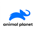 animal-planet-1